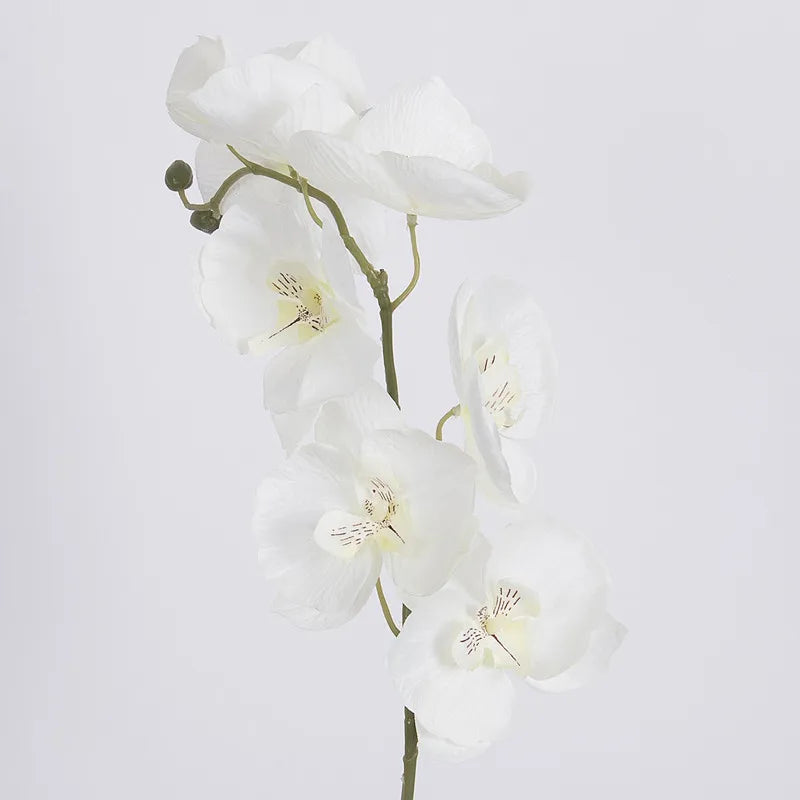 1pc Artificial Silk White Butterfly Orchid Flowers