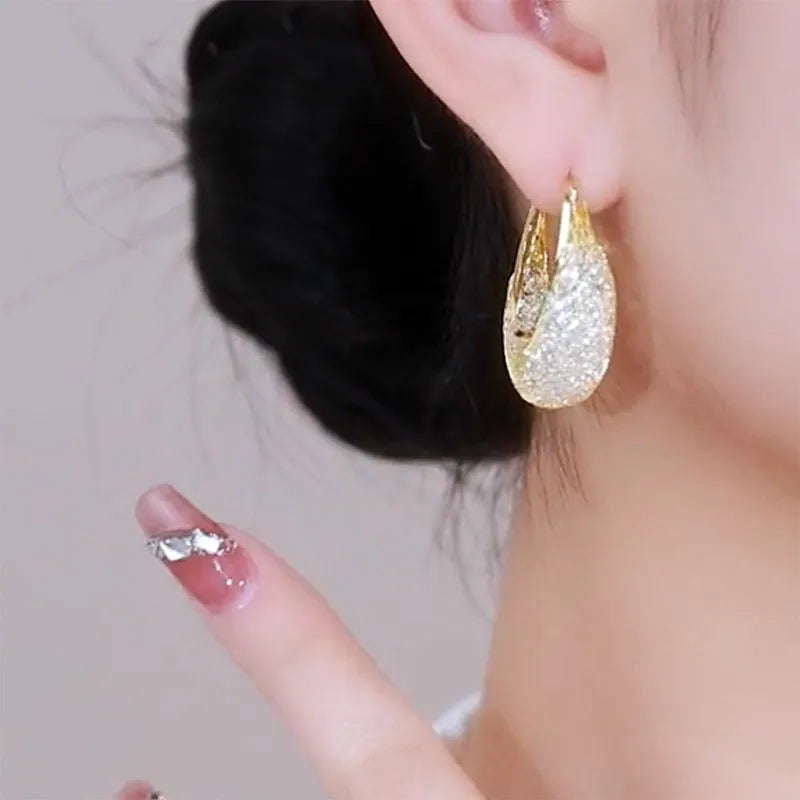 New Gold Colour Mesh Zircon Earrings for Women Personality Fashion Luxurious Daily Life Accessories Party Jewelry Birthday Gifts